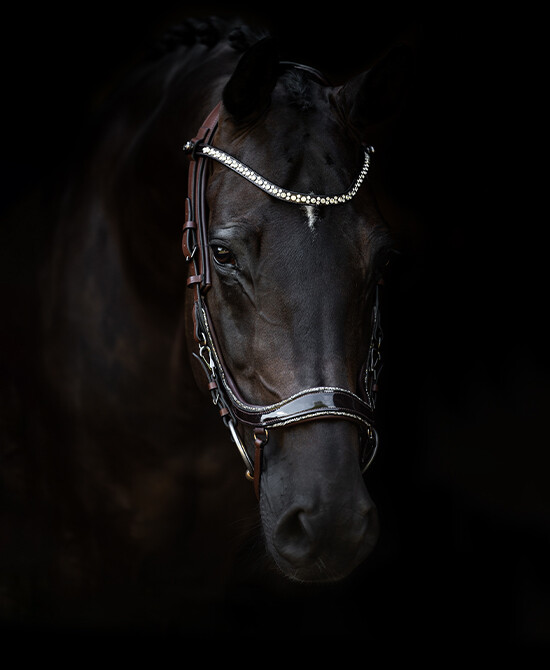 FaySport Glitter Bridle