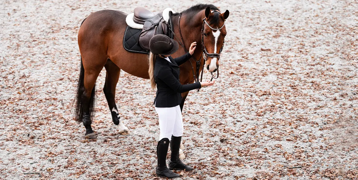 PerformNow PerformNow