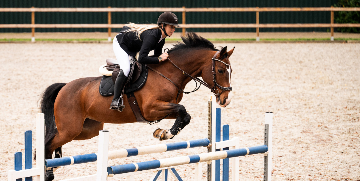 The best equipment by the latest technologies The best equipment by the latest technologies