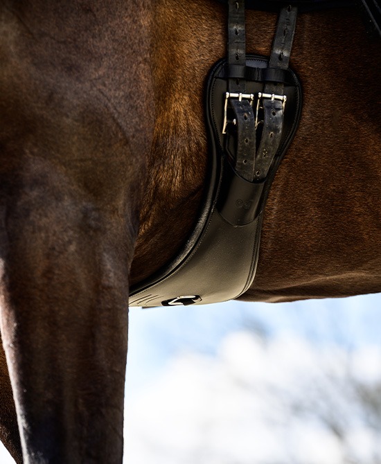 PerformFree PerformFree