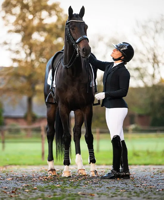 PerformNow collection