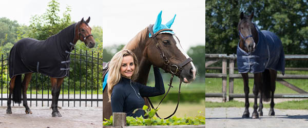 Q-essentials products for horse and rider